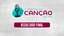 festival da canção
