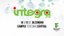 Confira o site