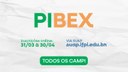pirex