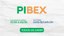 pirex