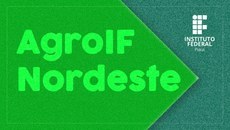 Serão contemplados dez projetos de campi do IFPI