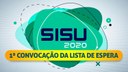 sisu