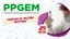ppgem