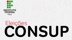 Confira o resultado final das eleições