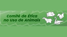 Agora, as inscrições devem ser feitas até 12 de julho