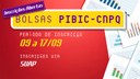 bolsa cnpq