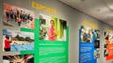 Exposição