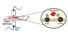 O artigo foi publicado na renomada revista científica Journal of Colloid and Interface Science
