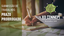 banner site submissao prorrogado.png