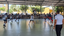 Voleibol