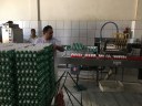 Alunos em visita à Granja Moreira