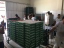 Alunos em visita à Granja Moreira