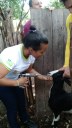 Visita