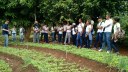 Visita
