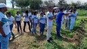 Visita