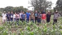 Foram capacitadas sete famílias (27 pessoas) da comunidade Morro do Claro, em Oeiras (PI)