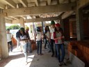 Visita