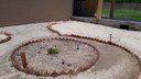 O projeto buscar criar, na escola, uma área verde produtiva pela qual todos se sintam responsáveis