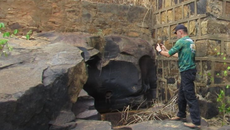 Registro em um dos sítios arqueológicos