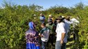 Visita