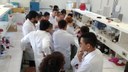 Visita
