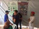 Feira Agrícola Queimada Nova