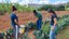 Campus Paulistana realiza evento pelo dia do Zootecnista