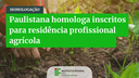 paulistana