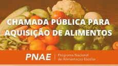 O processo atendeu ao Programa Nacional de Alimentação Escolar