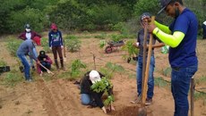Projeto contemplado no Programa Residência Profissional Agrícola