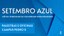 Confira a programação