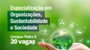 Confira