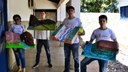 Doação de maquetes