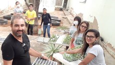 O trabalho foi coordenado pela professora Luana Alves e implantado pelos alunos de Agropecuária