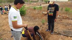 O objetivo da ação é melhorar a ambiência animal