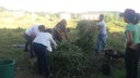 atividade de compostagem