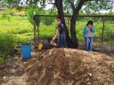 aula prática compostagem