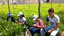 Visita técnica