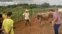 Fazenda fica localizada a 1,5 km de distância do Campus