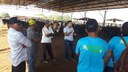 A Fazenda Planalto é uma grande produtora de caju no estado do Piauí