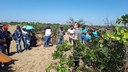 A Fazenda Planalto é uma grande produtora de caju no estado do Piauí