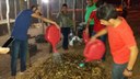Alunos do Curso Técnico em Agropecuária têm aula prática de compostagem