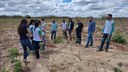 A atividade teve como objetivo conhecer a casa de farinha e as etapas de processamento da mandioca