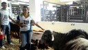 Visita