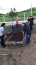 Aula de Olericultura e Fertilidade do Solo