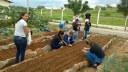 Aula de Olericultura e Fertilidade do Solo