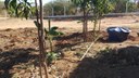 Esse sistema é composto por uma caixa d´água ligada a saída da tubulação de esgoto do refeitório, canos de PVC e torneiras
