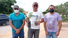 A produção das mudas doadas faz parte de um projeto de extensão do campus