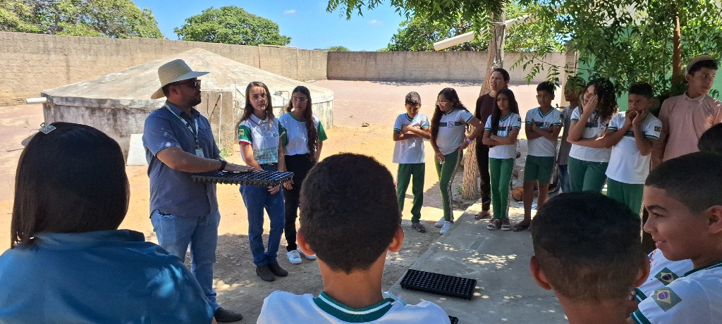 Horta escolar Pio IX