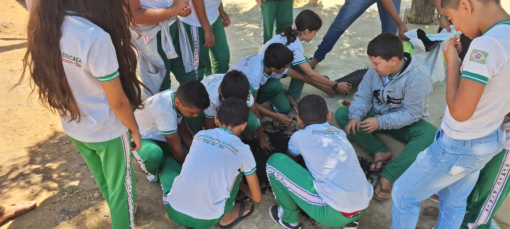 Horta escolar Pio IX